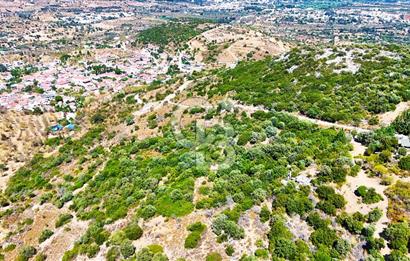 Datça Hızırşah'ta Satılık 8.974 m² Yatırımlık Tarla