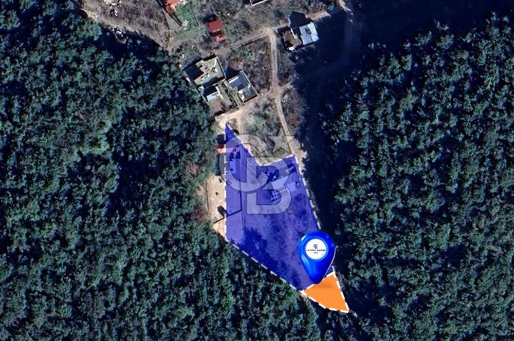 BORNOVA YAKAKÖY'DE 307 M2 SATILIK BAĞ