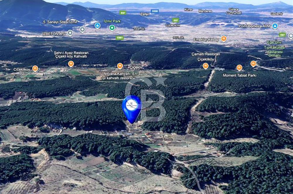 BORNOVA YAKAKÖY'DE 307 M2 SATILIK BAĞ