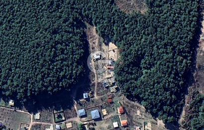 BORNOVA YAKAKÖY'DE 307 M2 SATILIK BAĞ