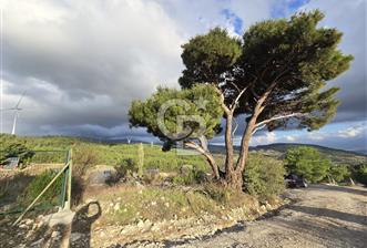 YAKAKÖY AFANDERE MEVKİ MUHTEŞEM MANZARALI BAĞ - 2 - 311272