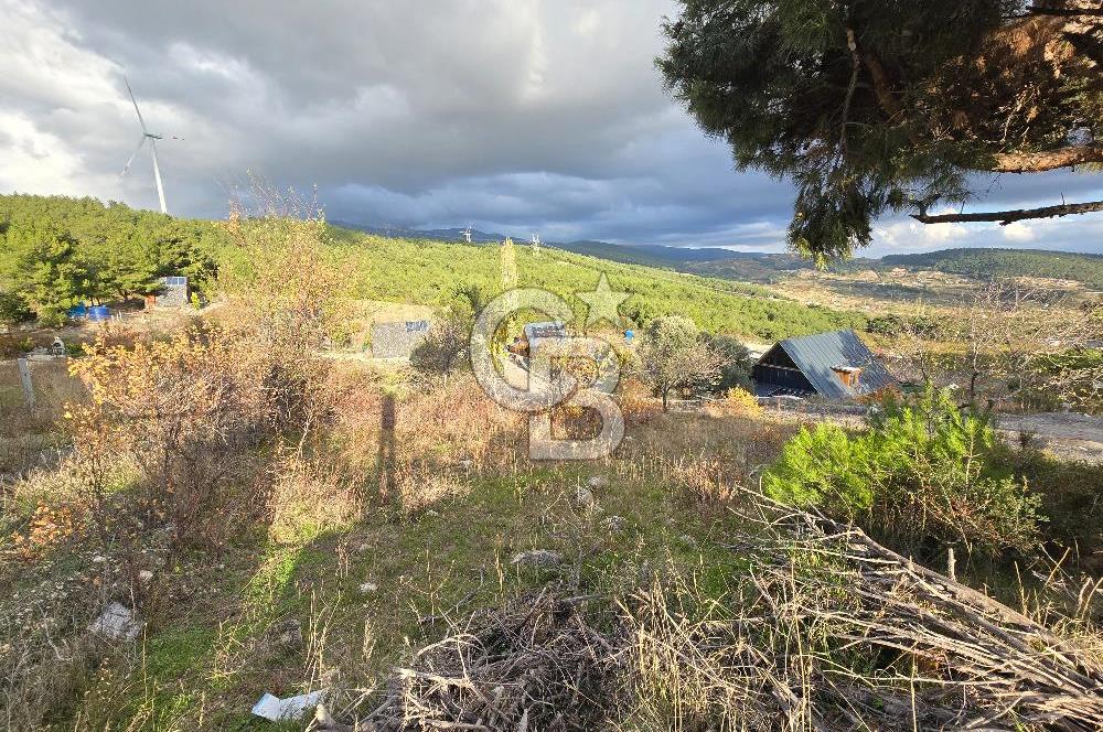 YAKAKÖY AFANDERE MEVKİ MUHTEŞEM MANZARALI BAĞ