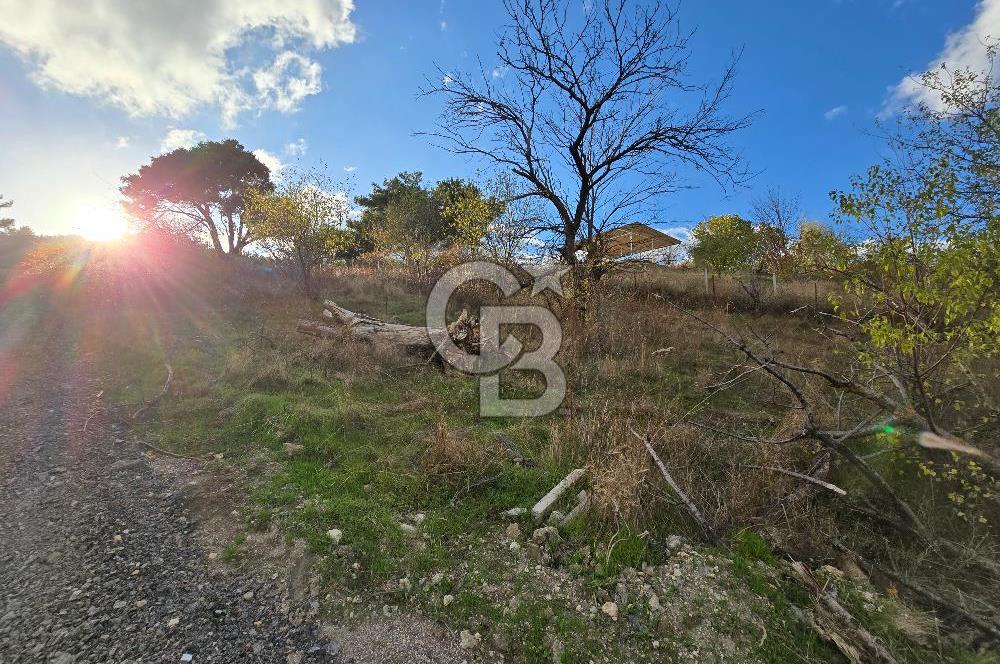 YAKAKÖY AFANDERE MEVKİ MUHTEŞEM MANZARALI BAĞ