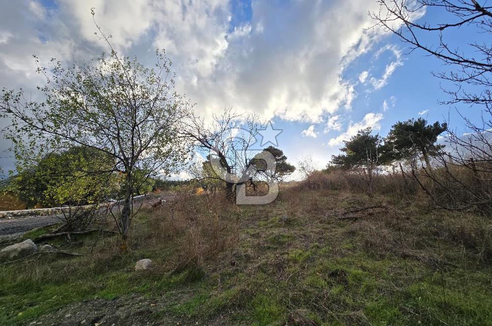 YAKAKÖY AFANDERE MEVKİ MUHTEŞEM MANZARALI BAĞ