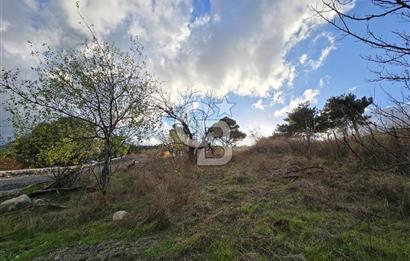 YAKAKÖY AFANDERE MEVKİ MUHTEŞEM MANZARALI BAĞ