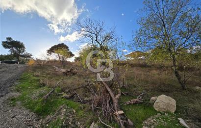 YAKAKÖY AFANDERE MEVKİ MUHTEŞEM MANZARALI BAĞ