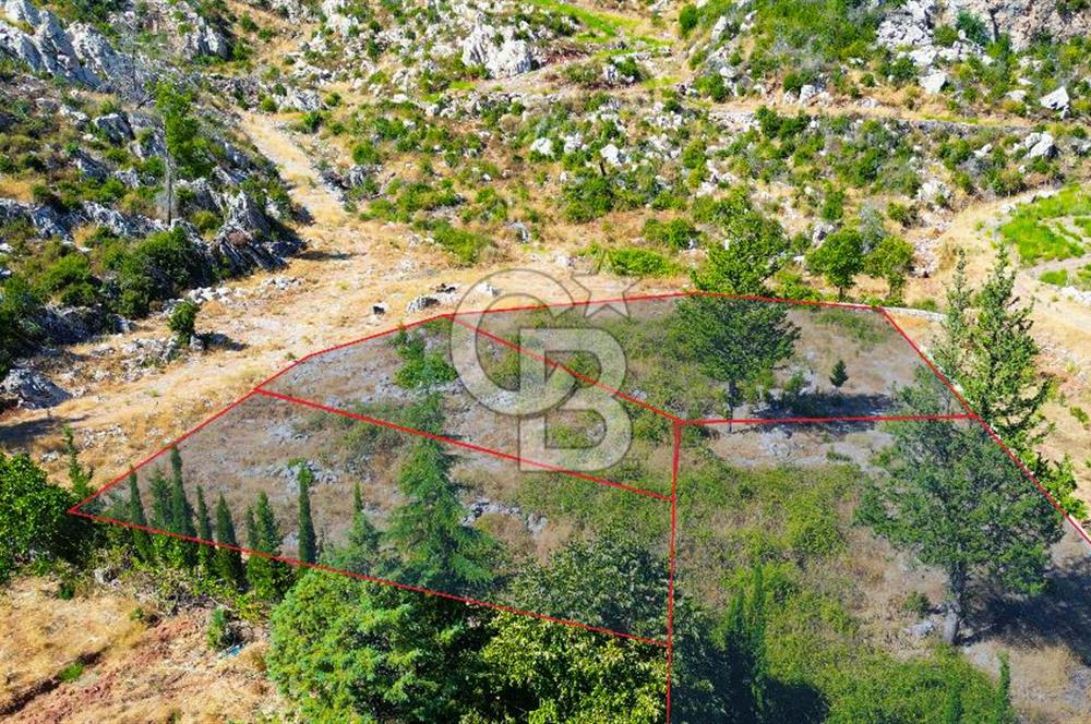 Muğla Marmaris Turunç Dereözü Mevkinde Satılık Arsa