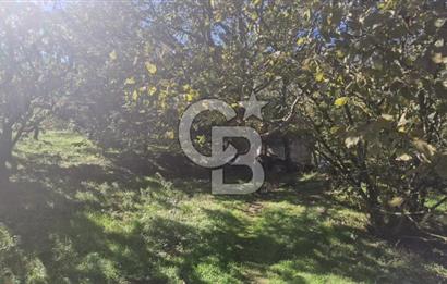 KEMALPAŞA OVACIKTA SATILIK TARLA