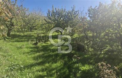 KEMALPAŞA OVACIKTA SATILIK TARLA