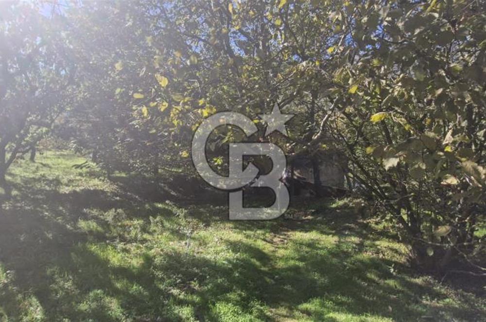 KEMALPAŞA OVACIKTA SATILIK TARLA