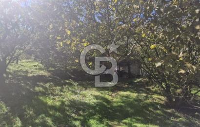 KEMALPAŞA OVACIKTA SATILIK TARLA