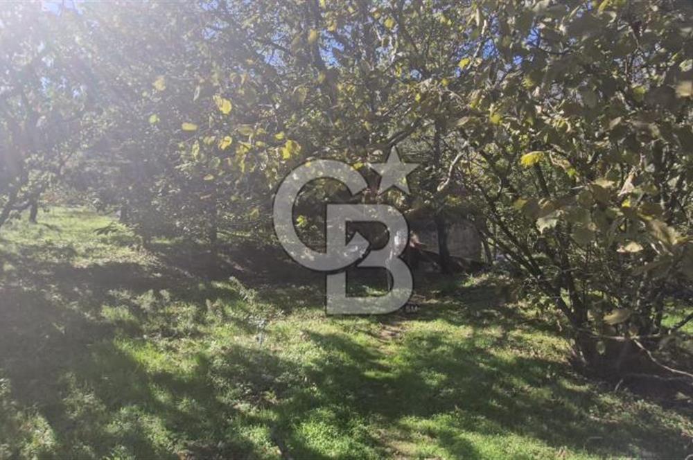 KEMALPAŞA OVACIKTA SATILIK TARLA