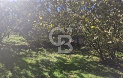 KEMALPAŞA OVACIKTA SATILIK TARLA