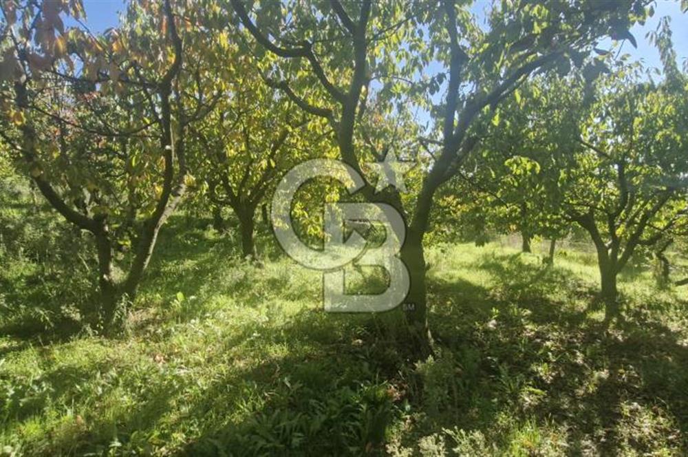 KEMALPAŞA OVACIKTA SATILIK TARLA