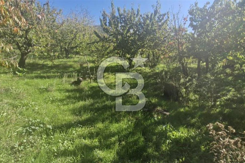 KEMALPAŞA OVACIKTA SATILIK TARLA