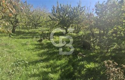 KEMALPAŞA OVACIKTA SATILIK TARLA