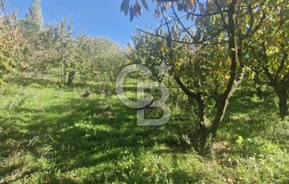 KEMALPAŞA OVACIKTA SATILIK TARLA