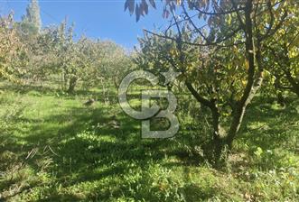 KEMALPAŞA OVACIKTA SATILIK TARLA - 5 - 311301