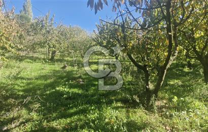 KEMALPAŞA OVACIKTA SATILIK TARLA