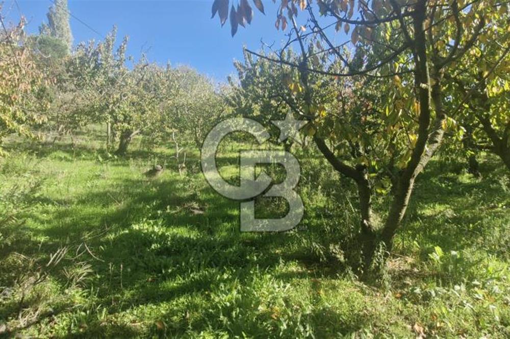 KEMALPAŞA OVACIKTA SATILIK TARLA