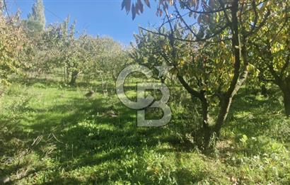 KEMALPAŞA OVACIKTA SATILIK TARLA