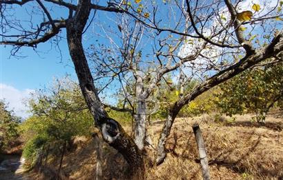 KEMALPAŞA OVACIKTA SATILIK BAHÇE 