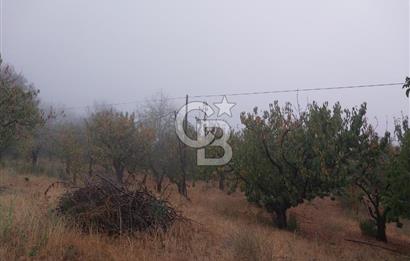 KEMALPAŞA OVACIKTA SATILIK BAHÇE 