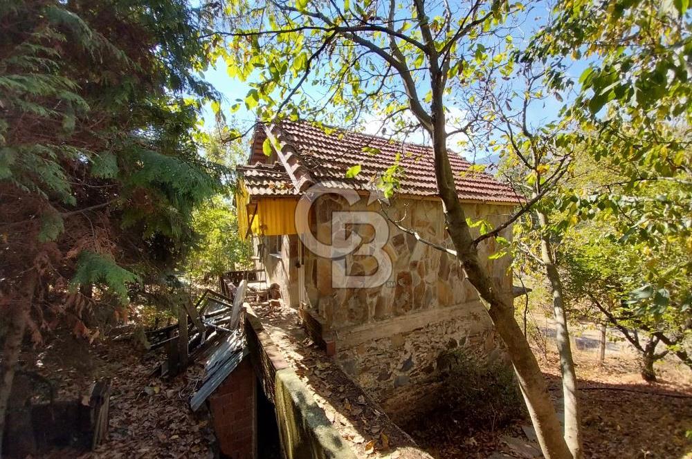 KEMALPAŞA OVACIKTA SATILIK BAHÇE 