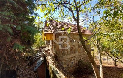 KEMALPAŞA OVACIKTA SATILIK BAHÇE 