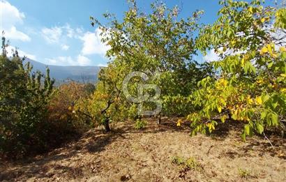 KEMALPAŞA OVACIKTA SATILIK BAHÇE 