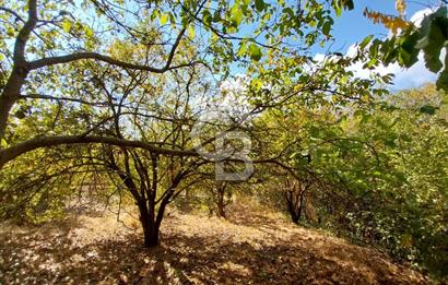 KEMALPAŞA OVACIKTA SATILIK BAHÇE 