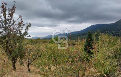 KEMALPAŞA OVACIKTA SATILIK BAHÇE 