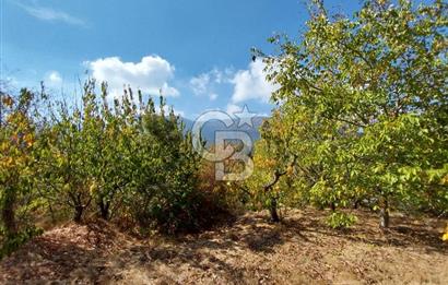 KEMALPAŞA OVACIKTA SATILIK BAHÇE 