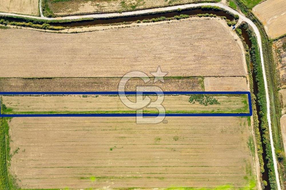 Foça Yenibağarası Mahallesinde Satılık Tarla