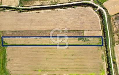 Foça Yenibağarası Mahallesinde Satılık Tarla