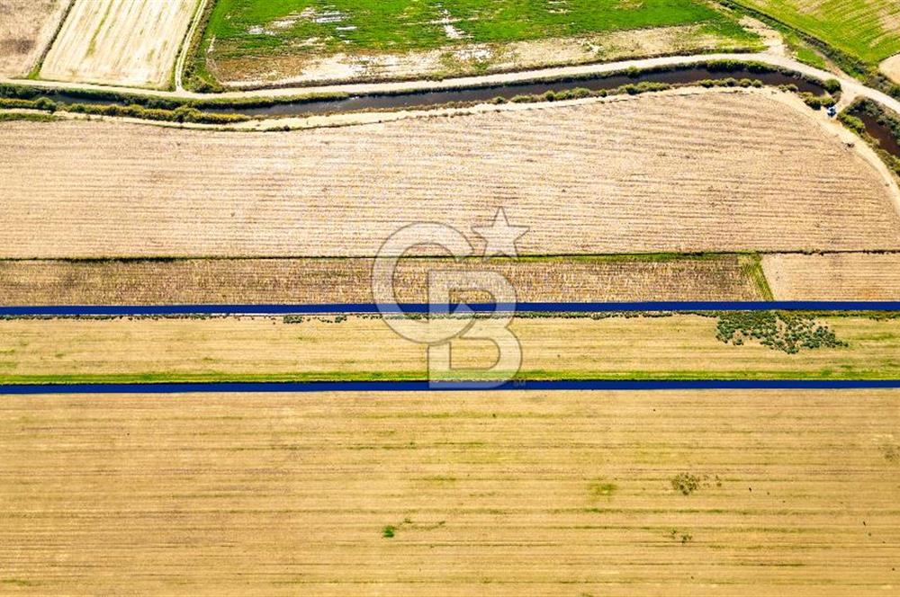 Foça Yenibağarası Mahallesinde Satılık Tarla