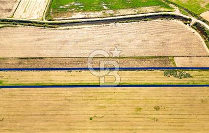 Foça Yenibağarası Mahallesinde Satılık Tarla