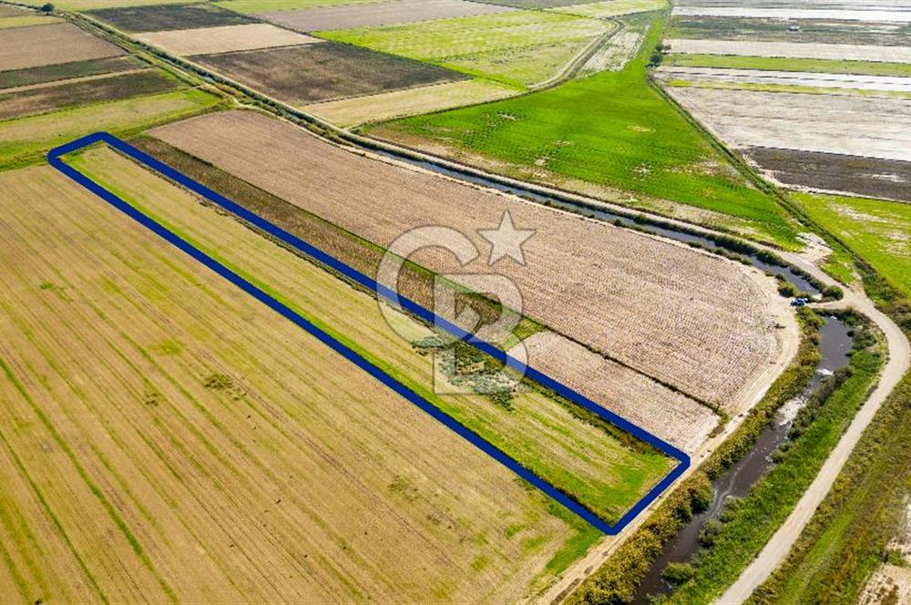 Foça Yenibağarası Mahallesinde Satılık Tarla