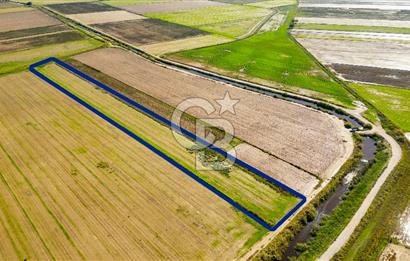 Foça Yenibağarası Mahallesinde Satılık Tarla