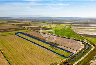 Foça Yenibağarası Mahallesinde Satılık Tarla - 2 - 311313