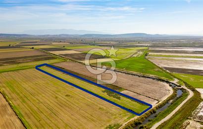 Foça Yenibağarası Mahallesinde Satılık Tarla