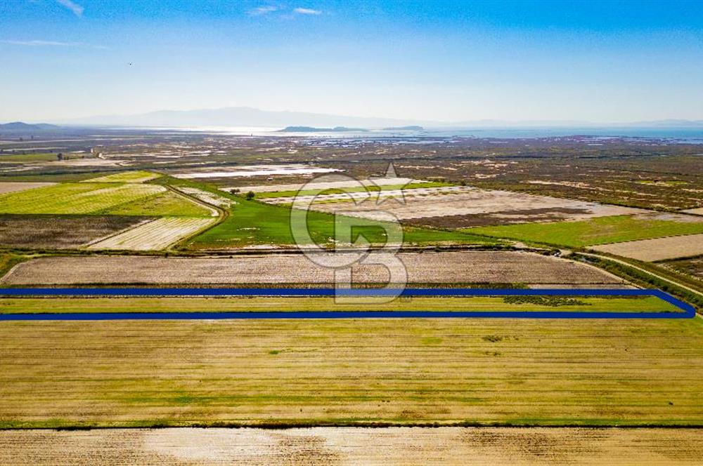 Foça Yenibağarası Mahallesinde Satılık Tarla