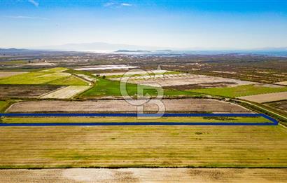Foça Yenibağarası Mahallesinde Satılık Tarla