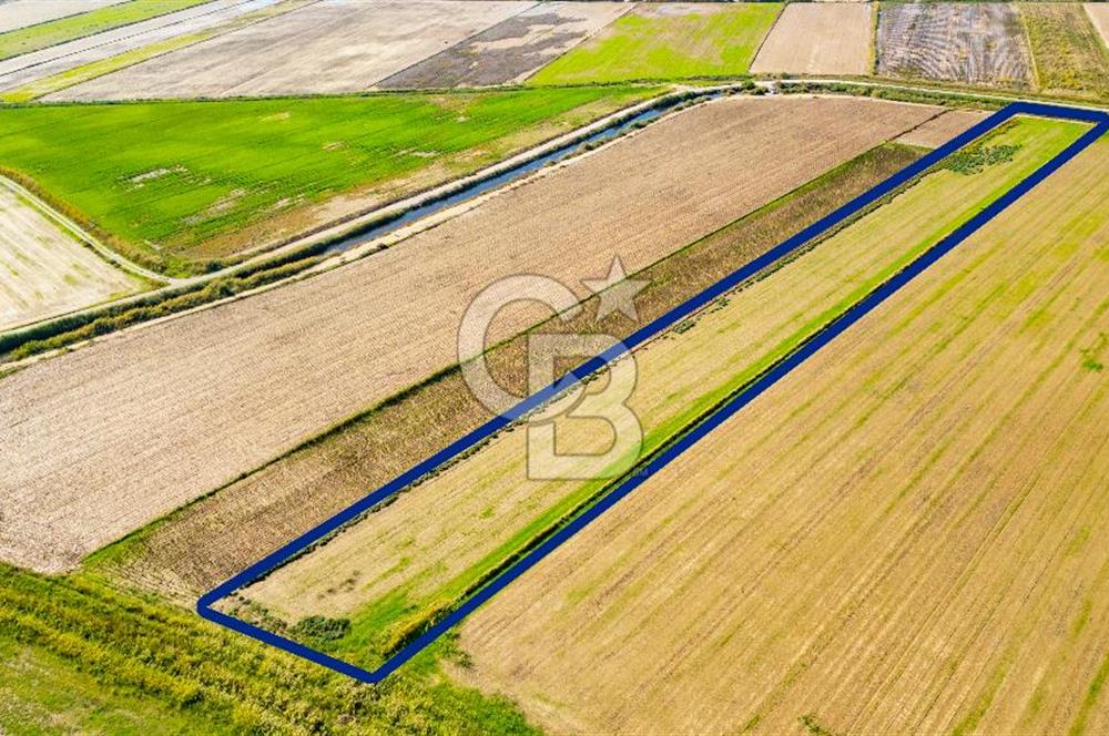 Foça Yenibağarası Mahallesinde Satılık Tarla