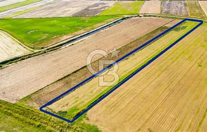 Foça Yenibağarası Mahallesinde Satılık Tarla