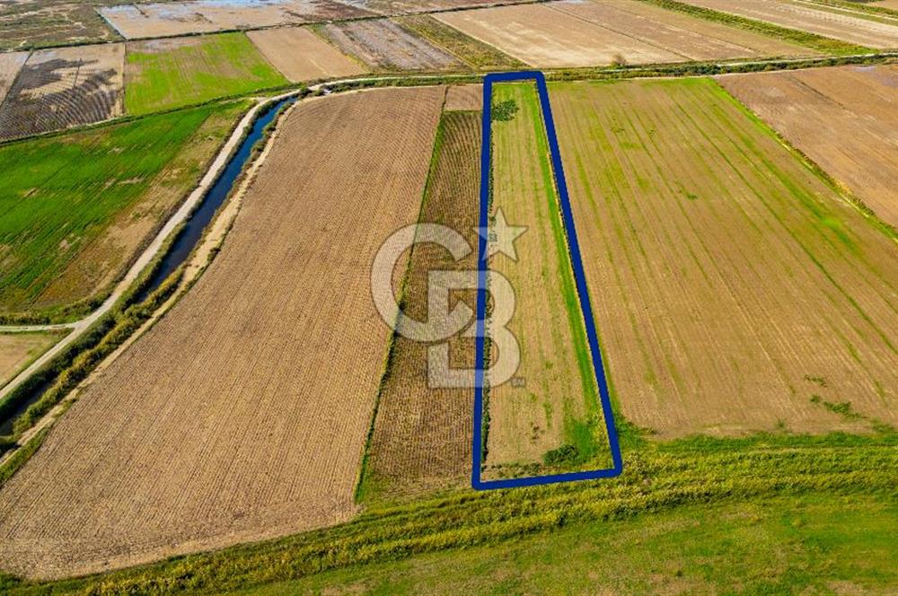 Foça Yenibağarası Mahallesinde Satılık Tarla