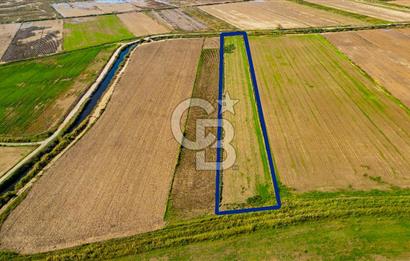 Foça Yenibağarası Mahallesinde Satılık Tarla