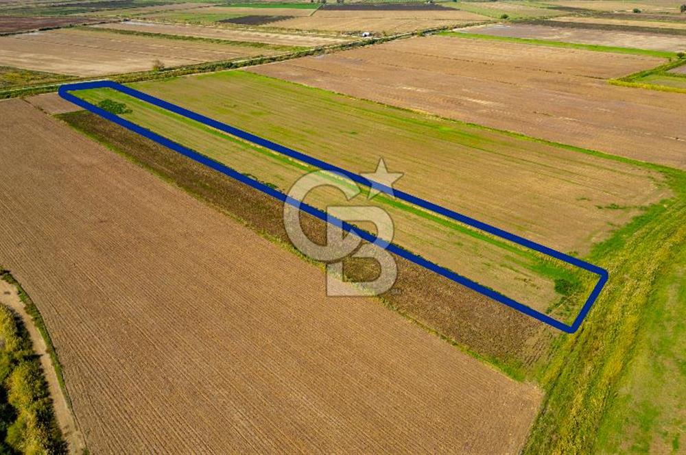 Foça Yenibağarası Mahallesinde Satılık Tarla