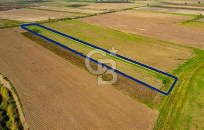 Foça Yenibağarası Mahallesinde Satılık Tarla