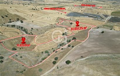 BÜYÜK TOPRAK FIRSATI UŞAK MERKEZ'E 15 KM MESAFEDE 63.981m² TARLA